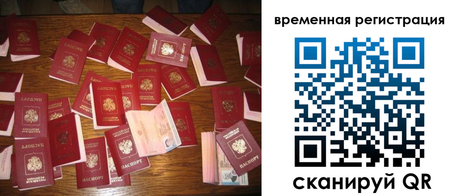 временная регистрация 2025 в Светлом
