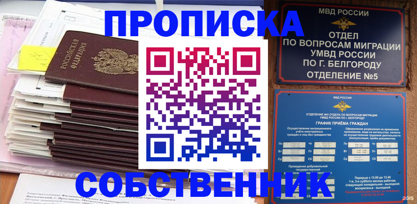 прописка законно в Светлом